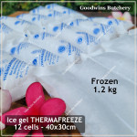 Ice gel THERMAFREEZE pengganti es batu THERMA FREEZE square frozen (price/cell)